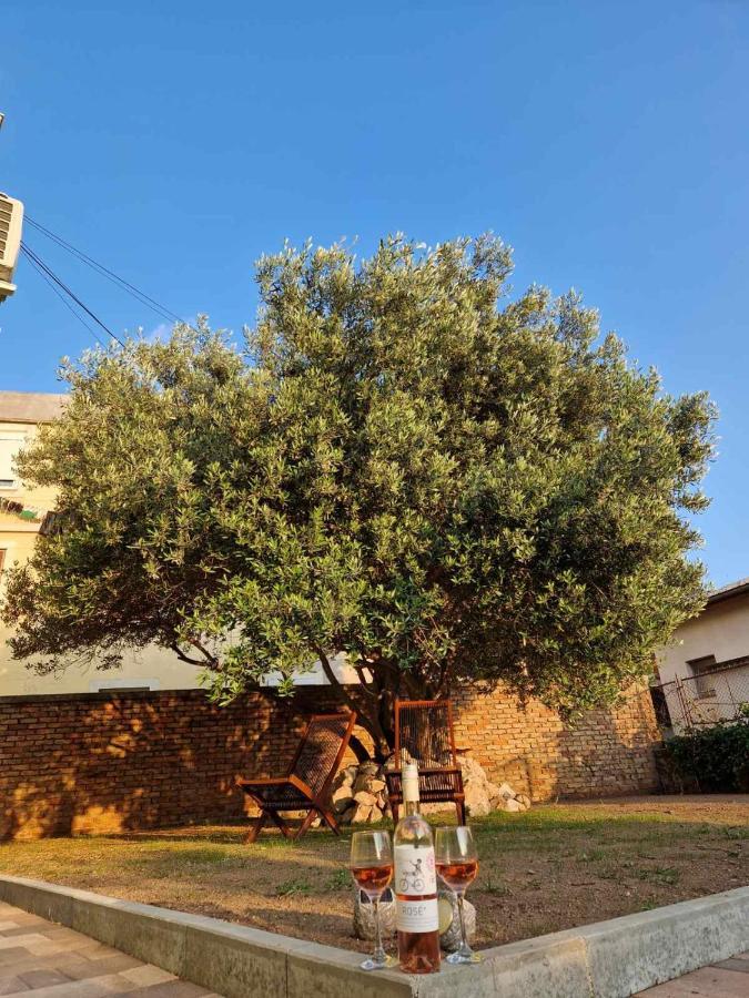 Apartmani Studio Apartmani Senjska Maslina Zengg Kültér fotó