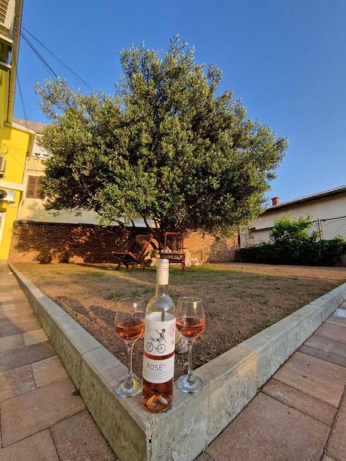 Apartmani Studio Apartmani Senjska Maslina Zengg Kültér fotó