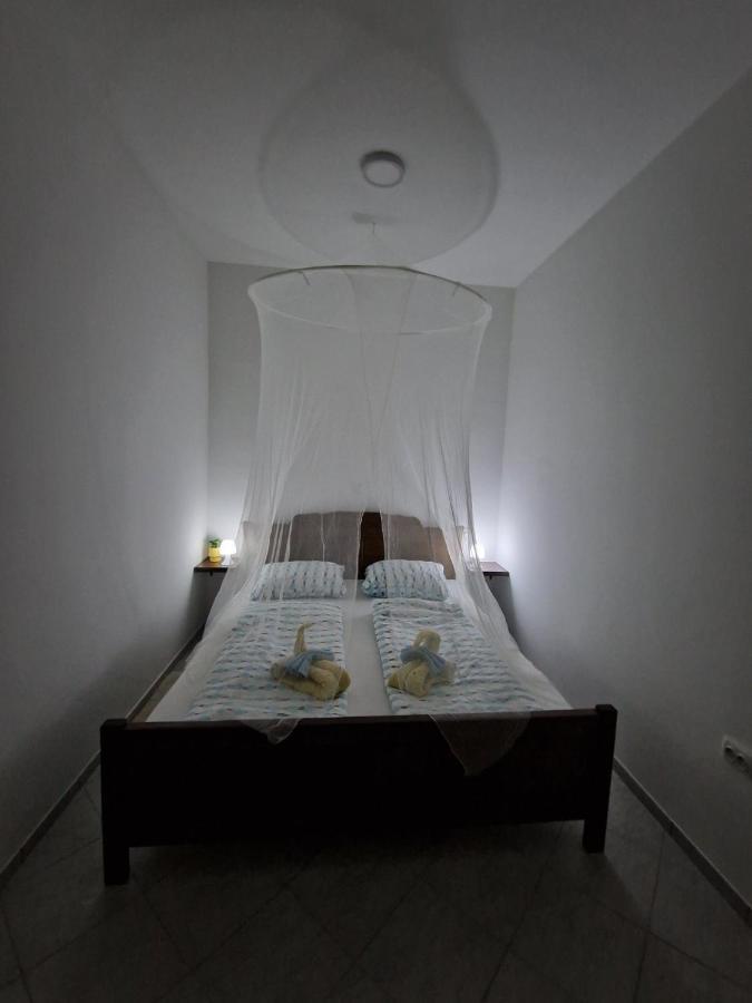 Apartmani Studio Apartmani Senjska Maslina Zengg Kültér fotó
