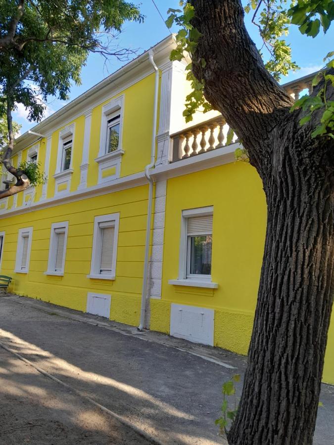 Apartmani Studio Apartmani Senjska Maslina Zengg Kültér fotó